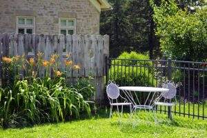 Backyard Garden Ideas