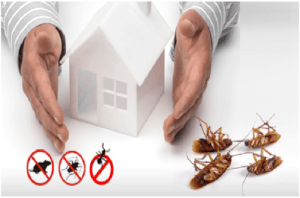 Integrated Pest Management
