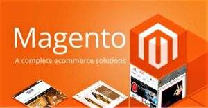 Reasons Behind Magento Popularity