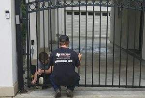 Automatic Gate System