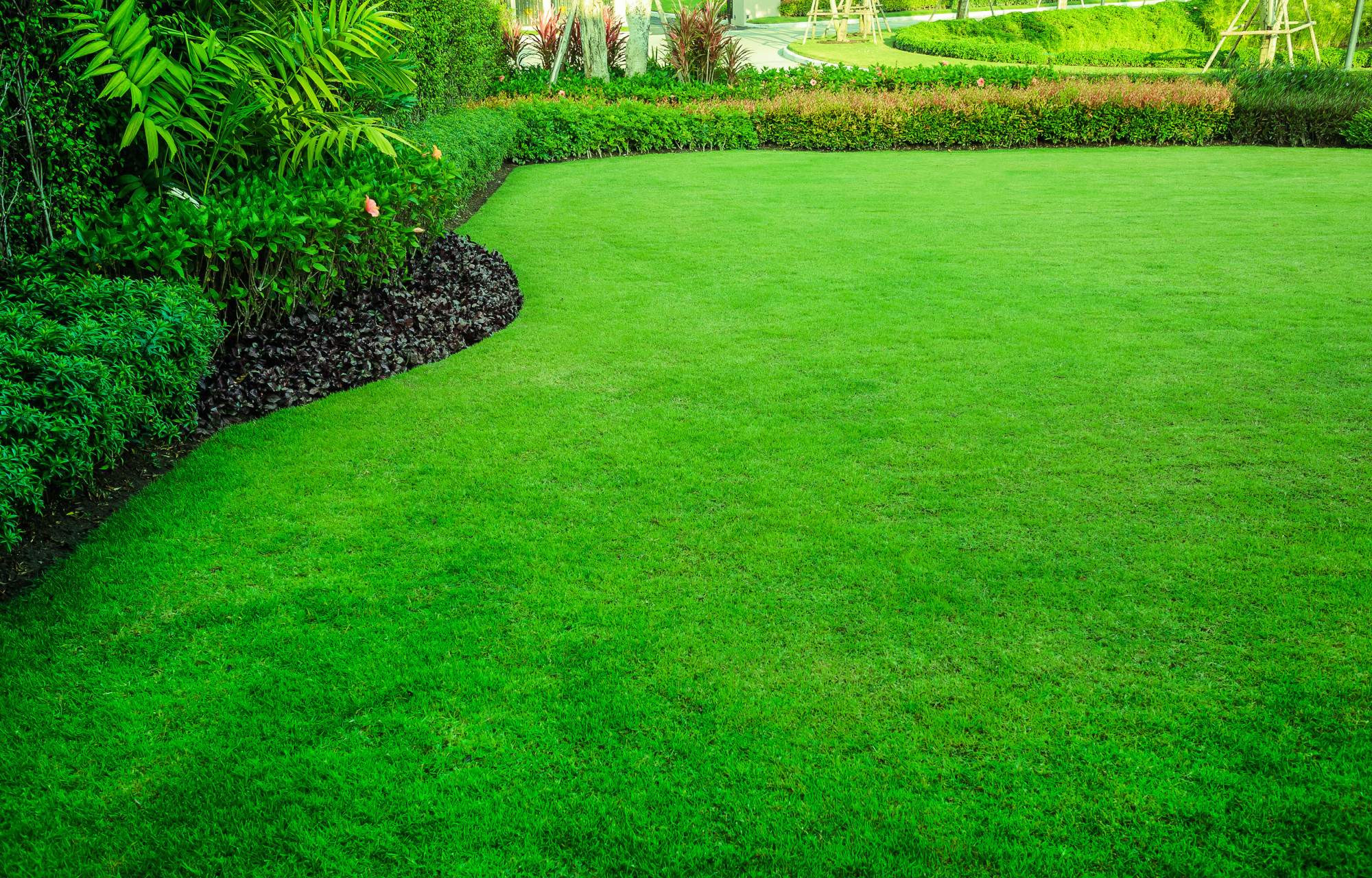5 Great Ideas for Appealing Lawn Decor