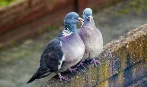 383359bd56f359a90c42b3d540126ef7