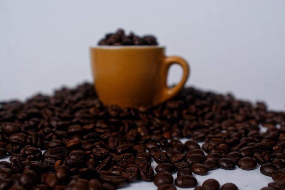 What Are the Different Types of Coffee Beans?