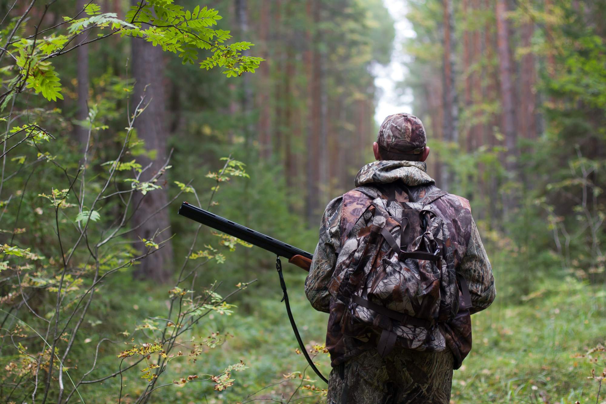 3 Important Hunting Tips for Beginners