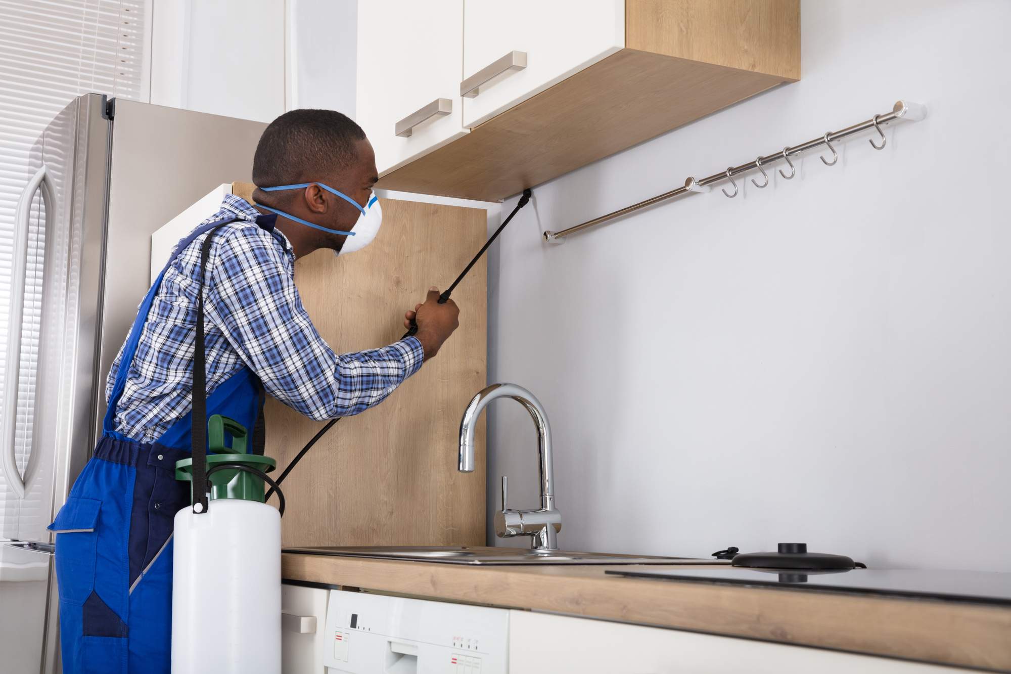 How to Prepare Your Home For Pest Control Treatment
