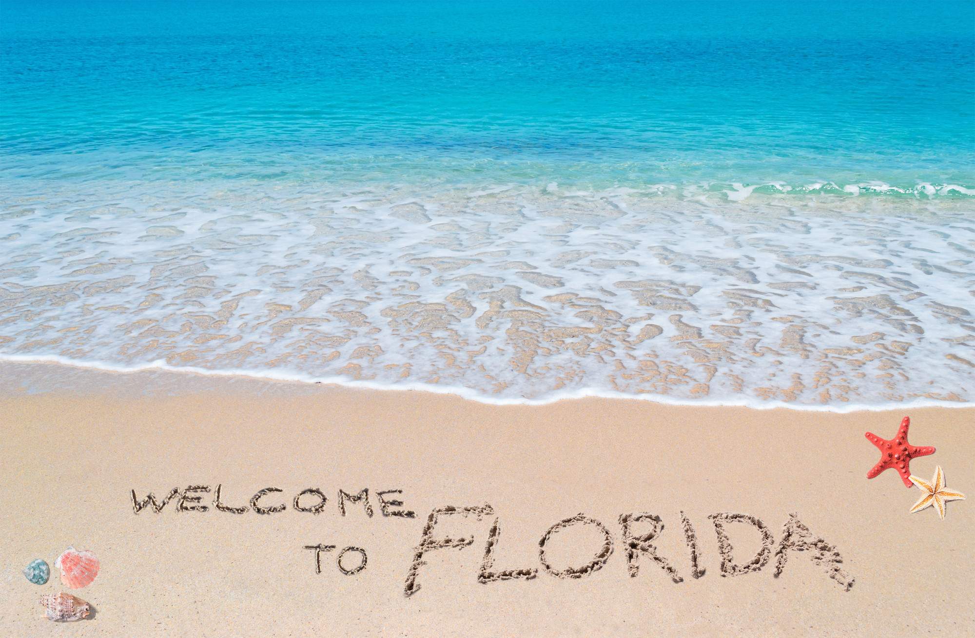 Moving to Florida? Here Is Your Complete Step-By-Step Checklist