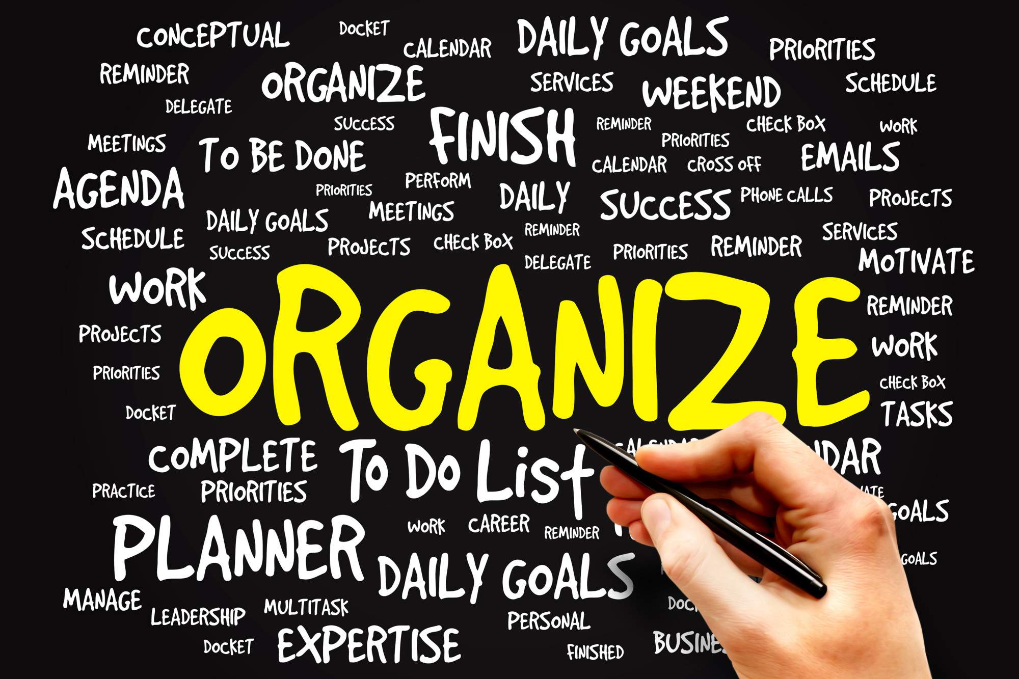 Business Organization 101: A Guide to Get You on the Right Track
