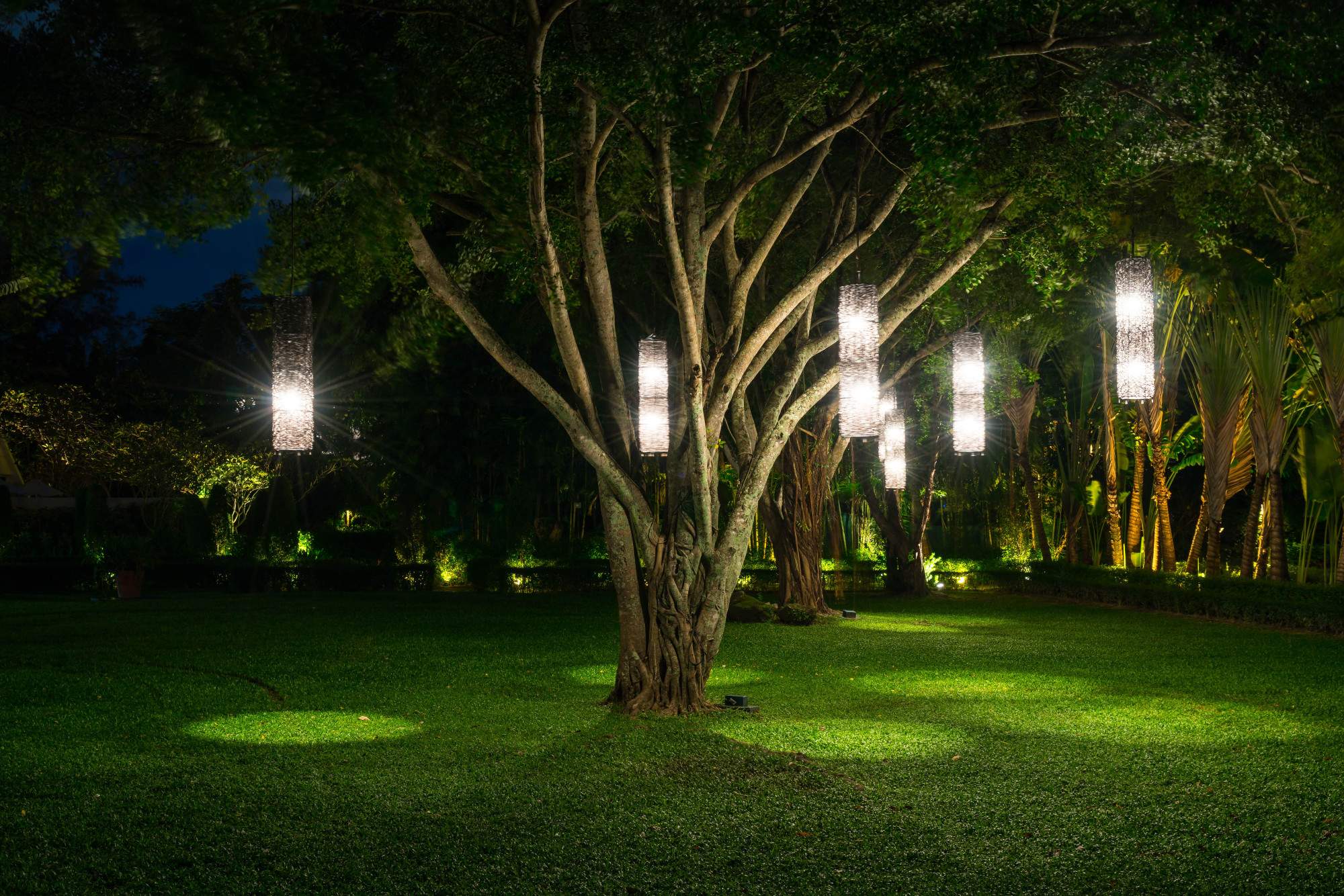 7 Factors to Consider When Choosing Landscape Lighting