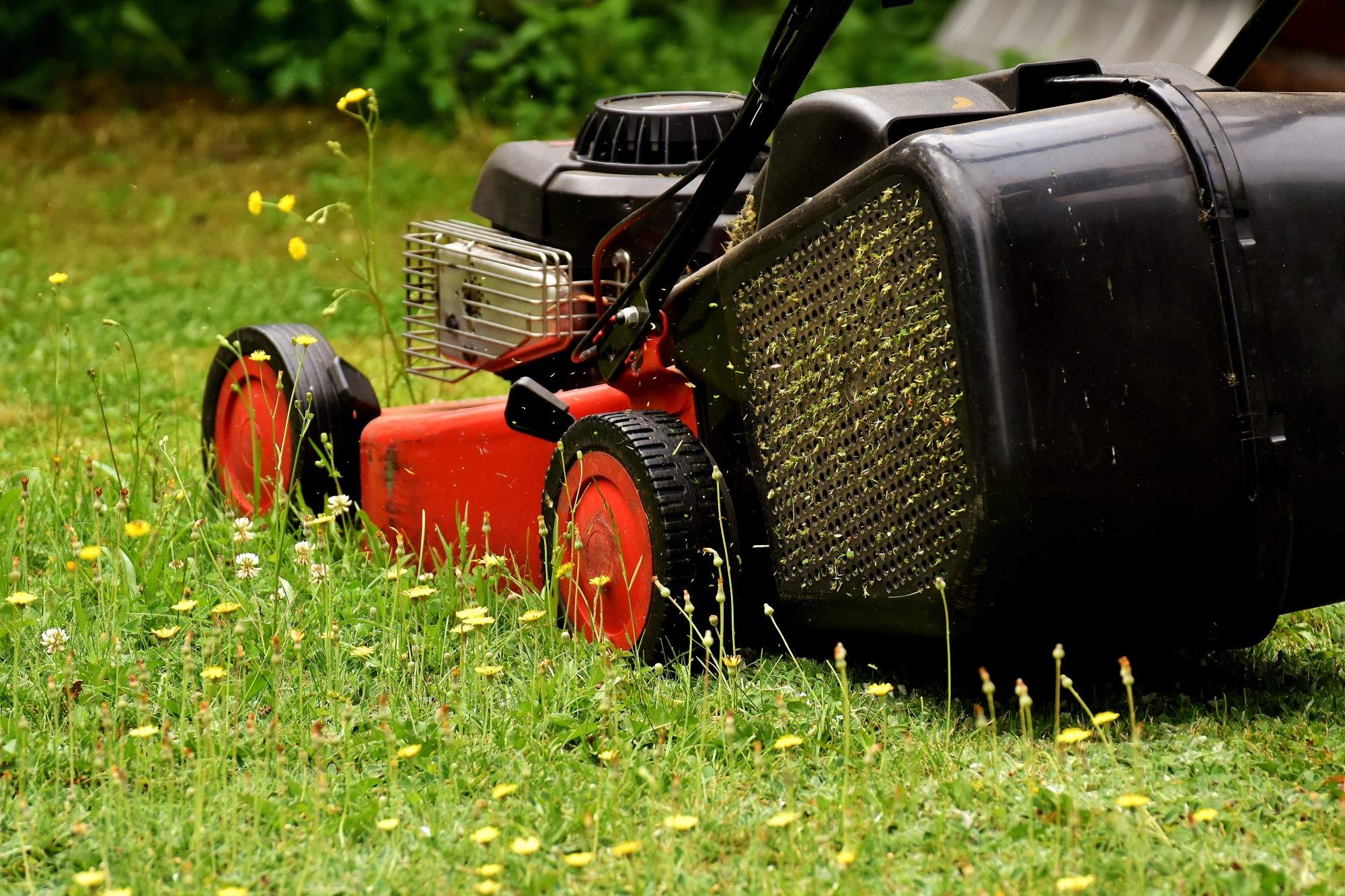 5 Lawn Mowing Tips to Keep Your Yard Looking Great