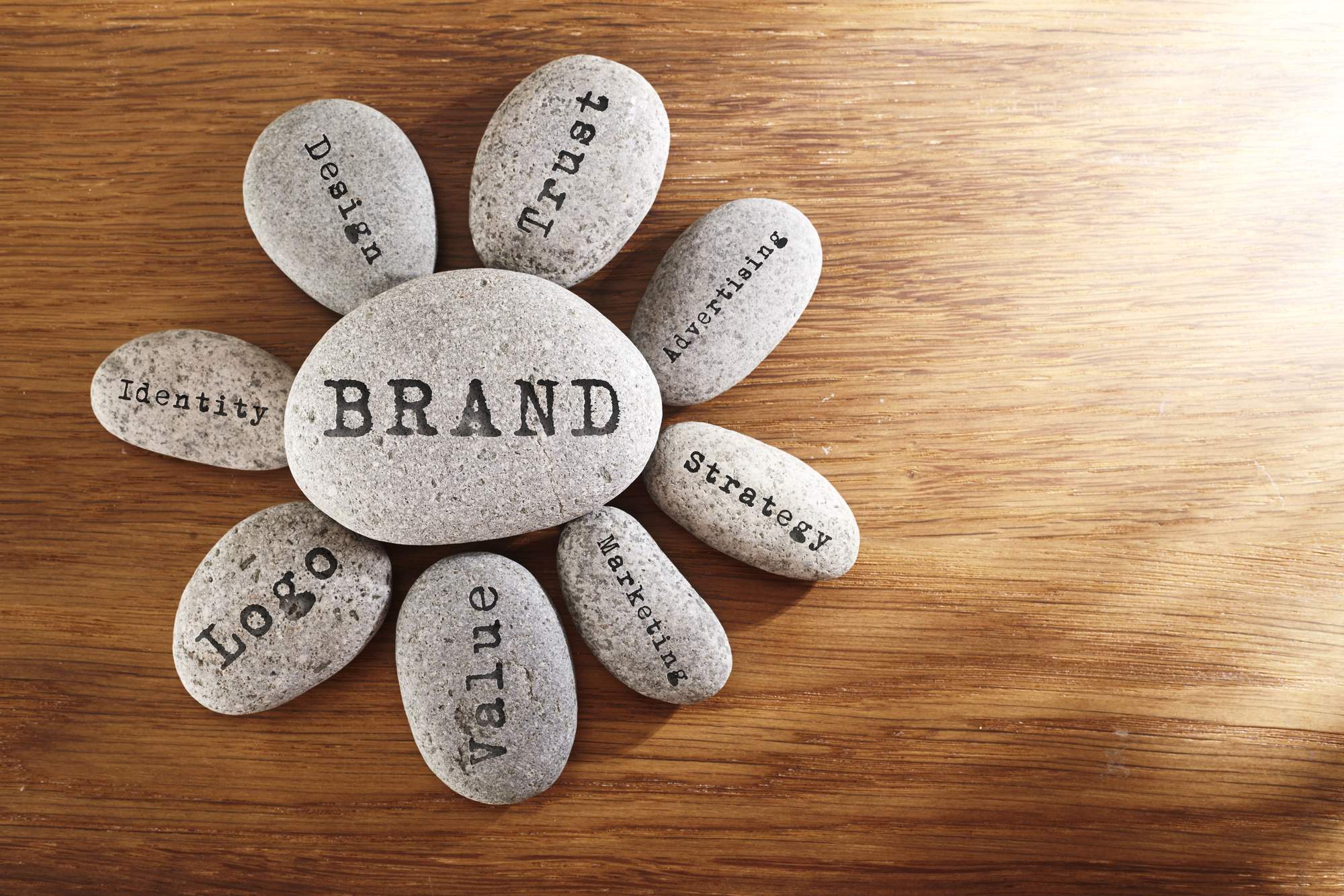 Partnering With a Branding Agency to Bring Your Vision to Life