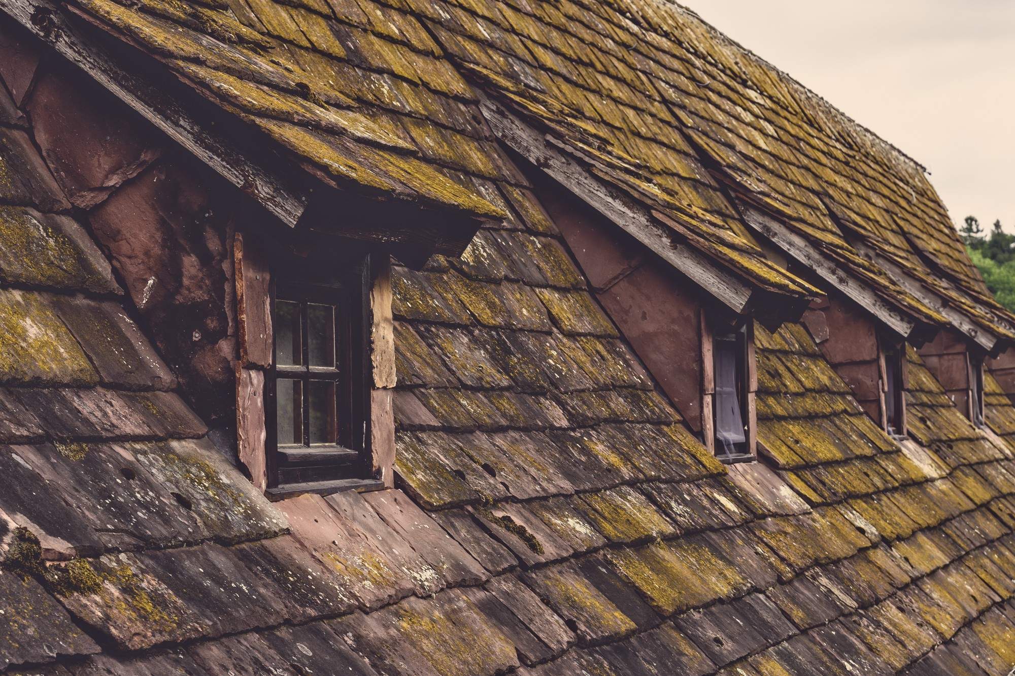 5 Methods to Identify Roof Damage