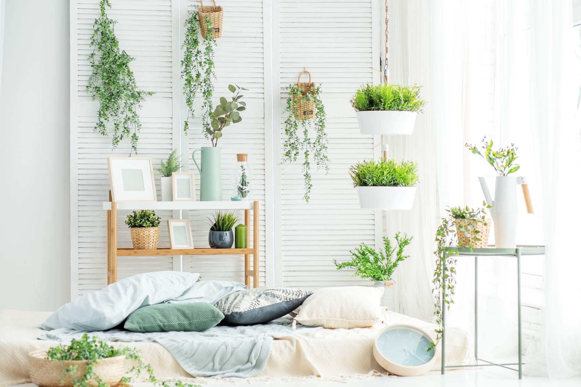 Breath Easy: Top 4 Plants for Clean Air Indoors