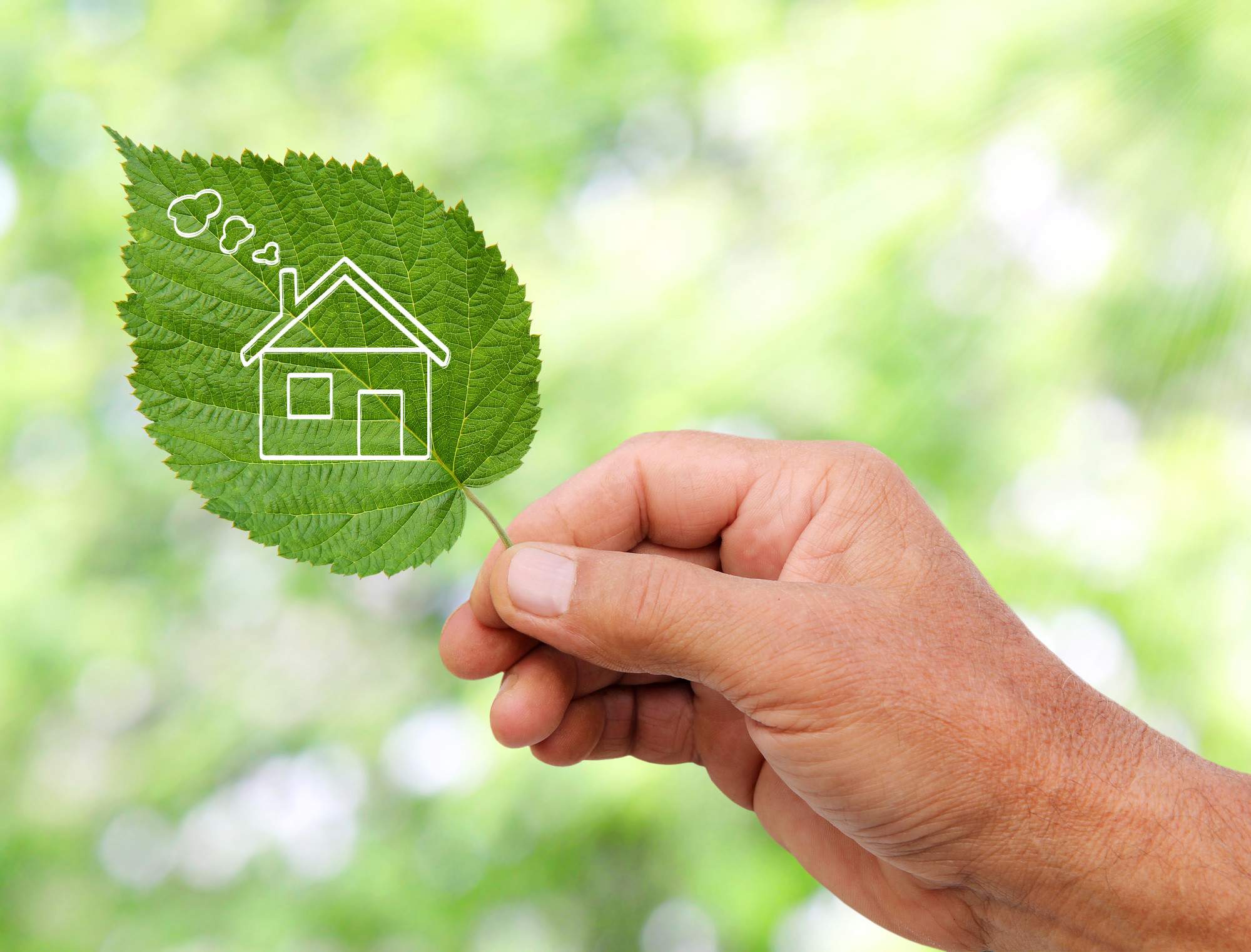 Environmentally Conscious? See Five Green Home Solutions Now