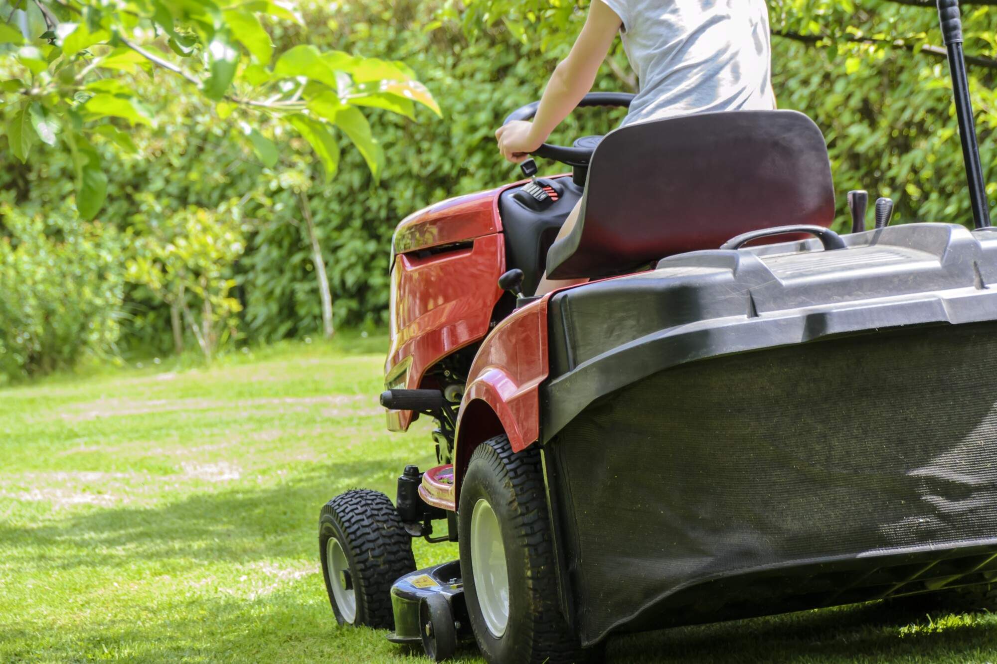 Mowing Grass: How Often Should You Do It?