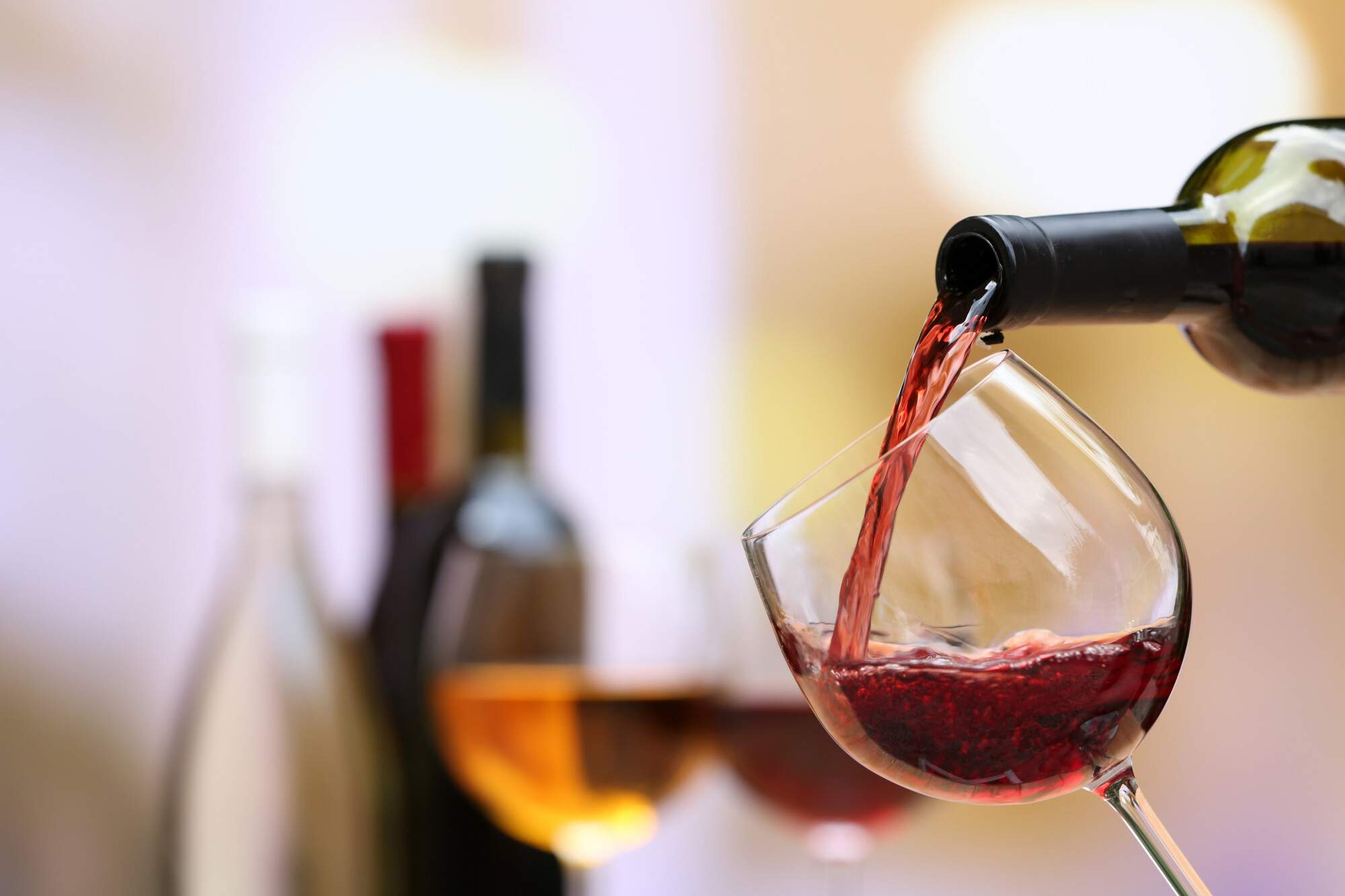 The Latest Wine Etiquette Tips That You Should Master Right Away