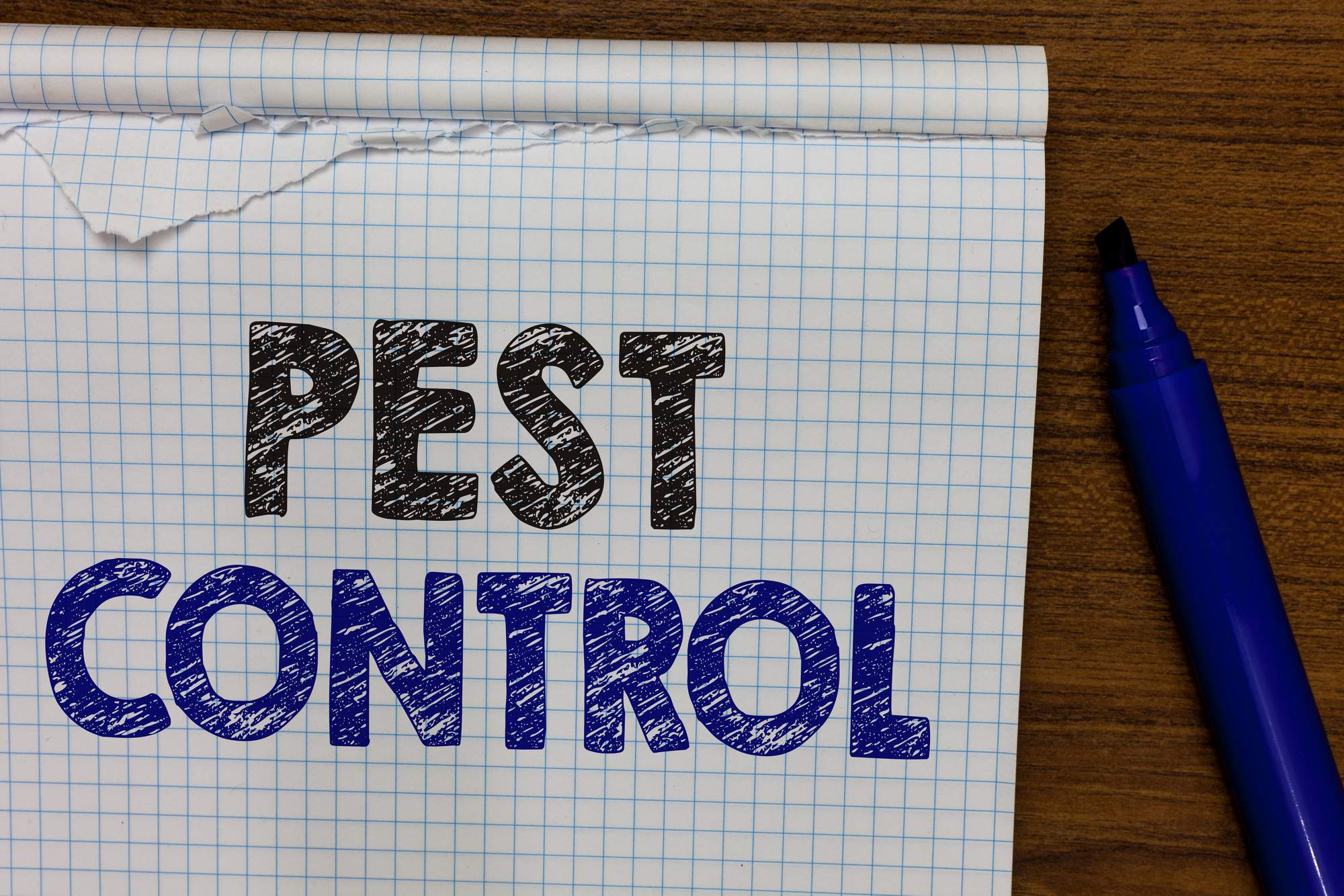 4 Pest Control Tips for a Bug and Pest Free Home