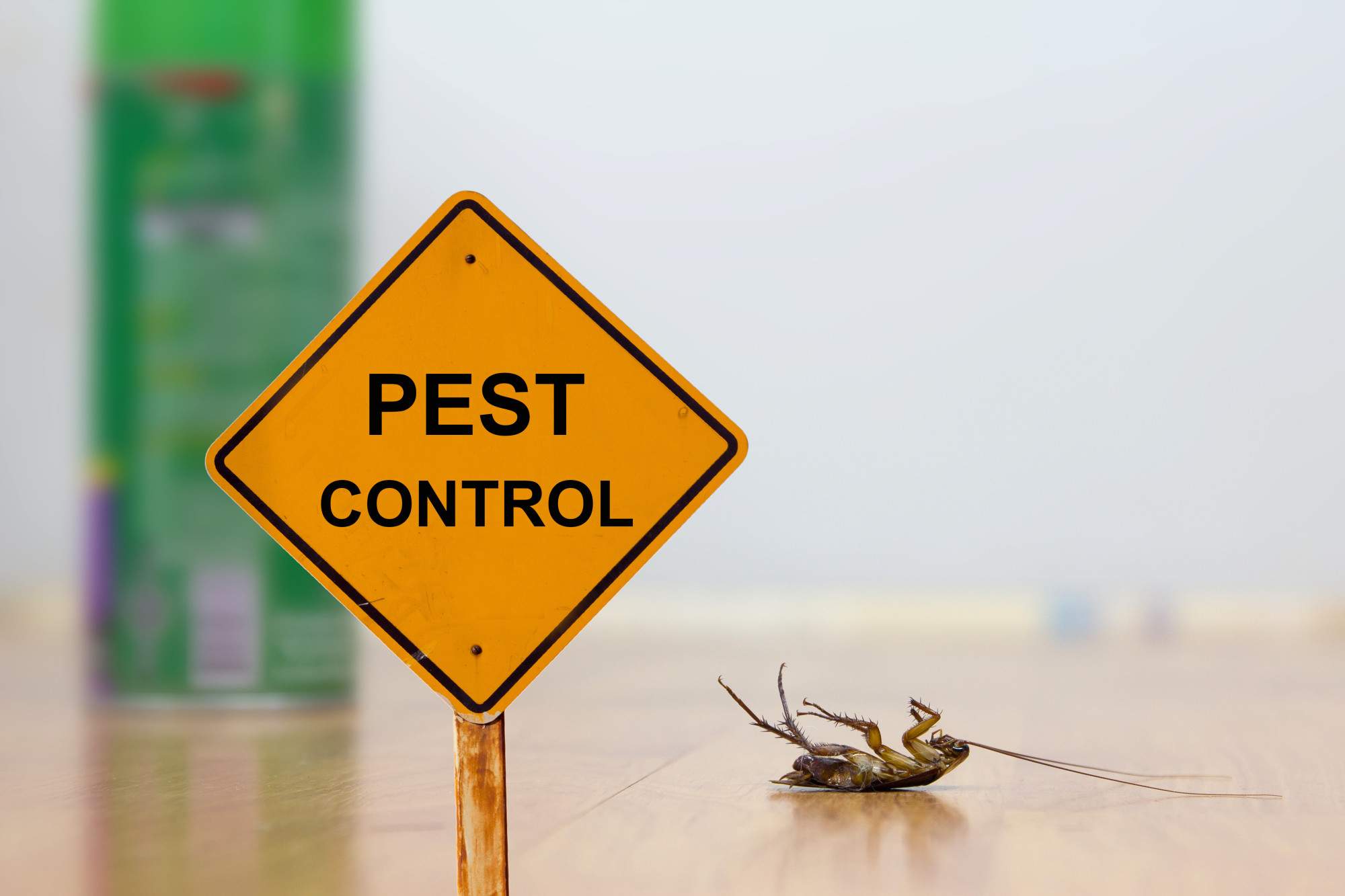 4 Benefits of Commercial Pest Control Services