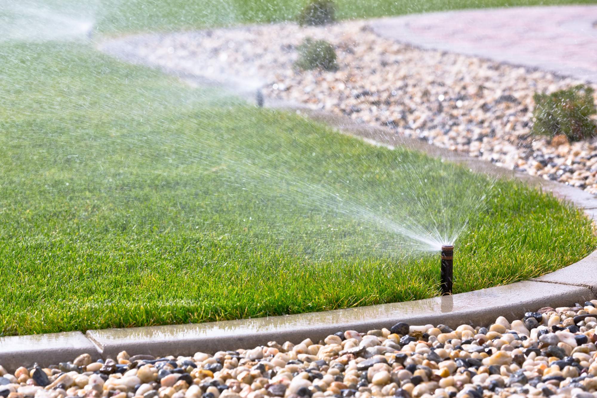 Drip Irrigation vs Sprinkler: What Are the Differences?