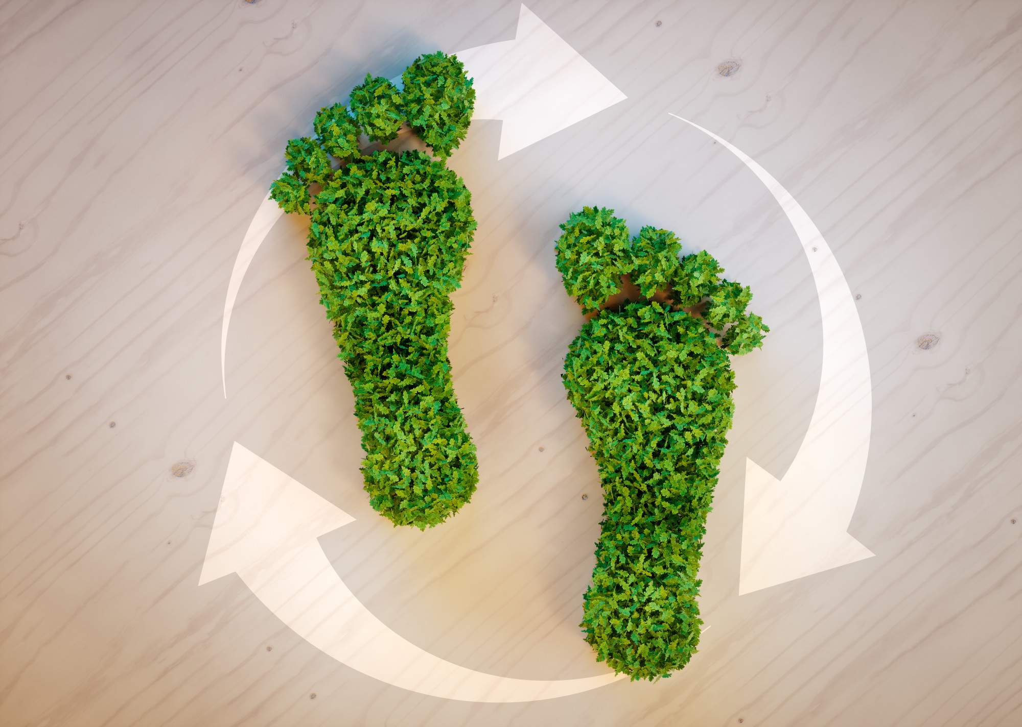 5 Ways to Significantly Reduce Your Carbon Footprint