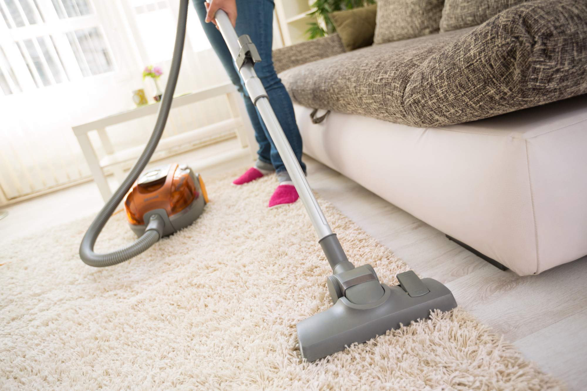 What You Need to Know Before Carpet Cleaning