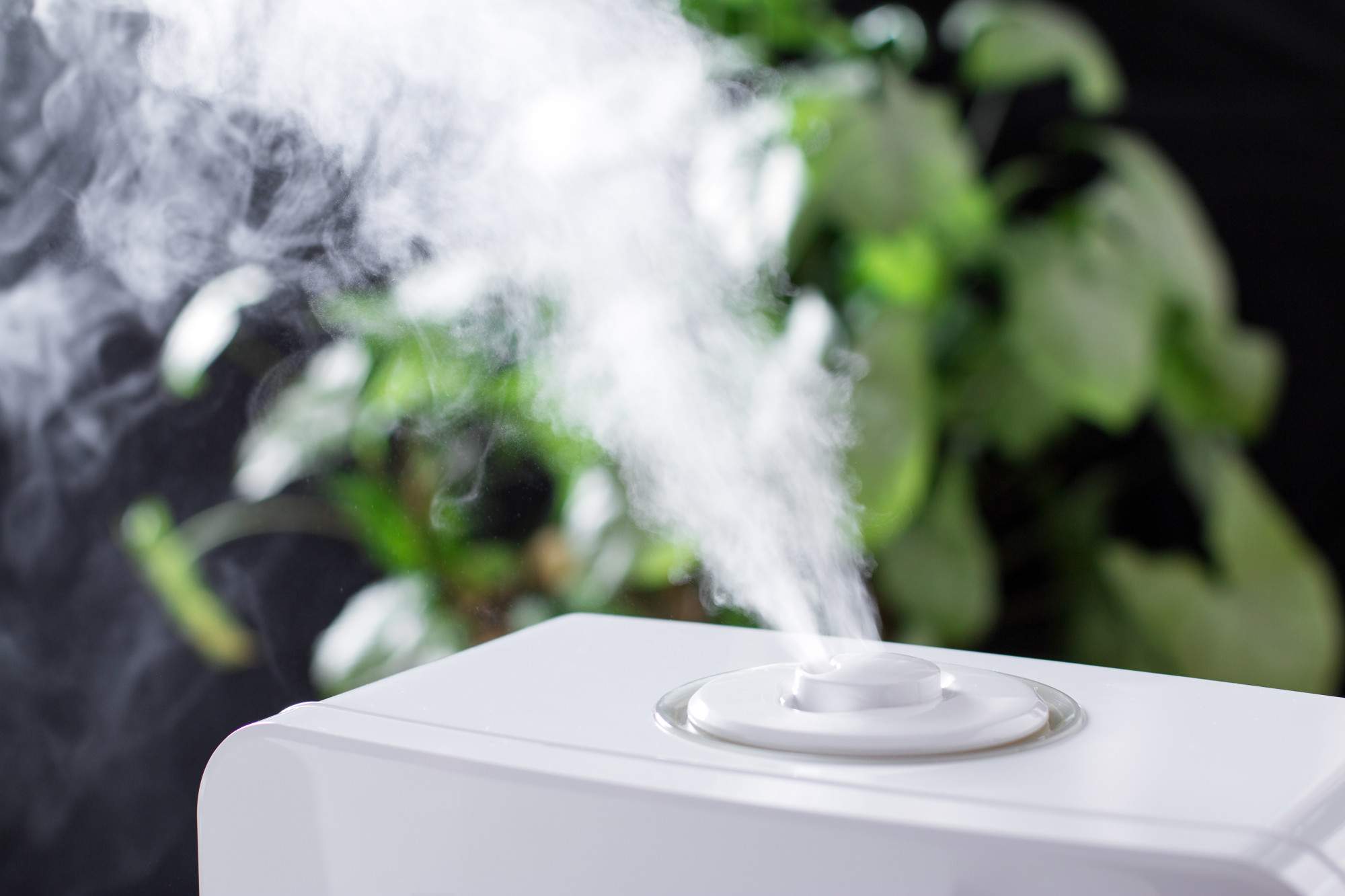 The Benefits of a Home Humidifier