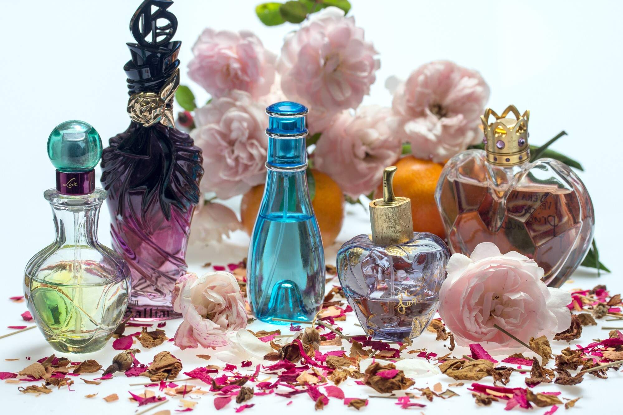 What Are the Different Types of Fragrances That Are Popular Today?