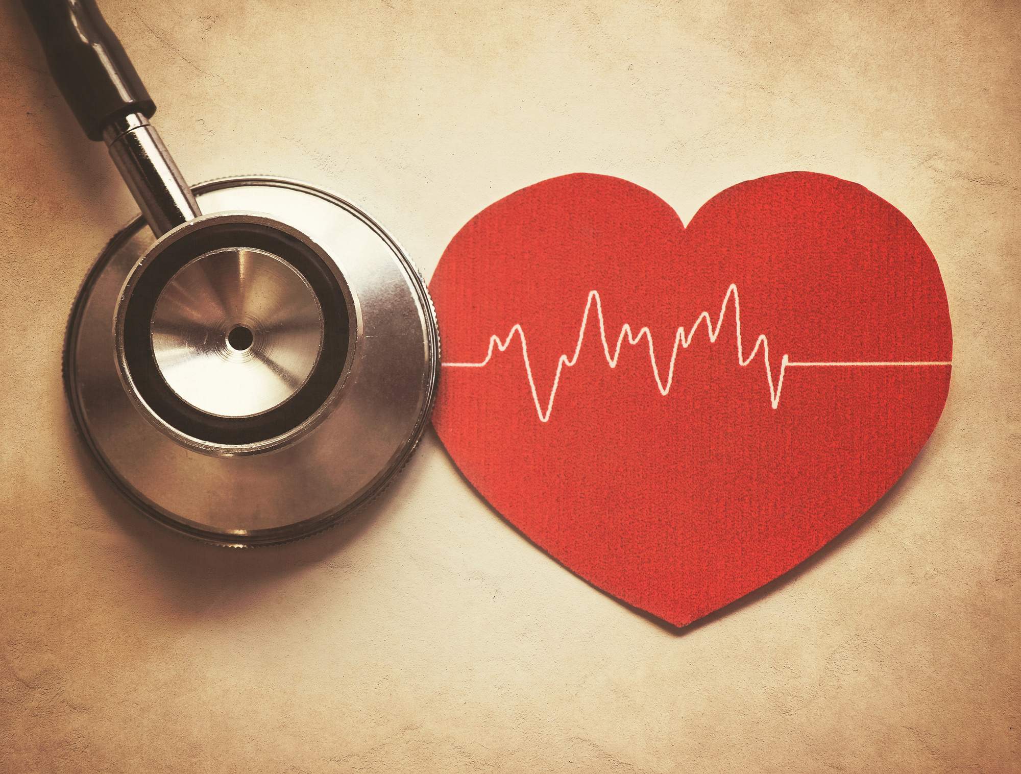 Cardiovascular vs Circulatory System: What Are the Differences?