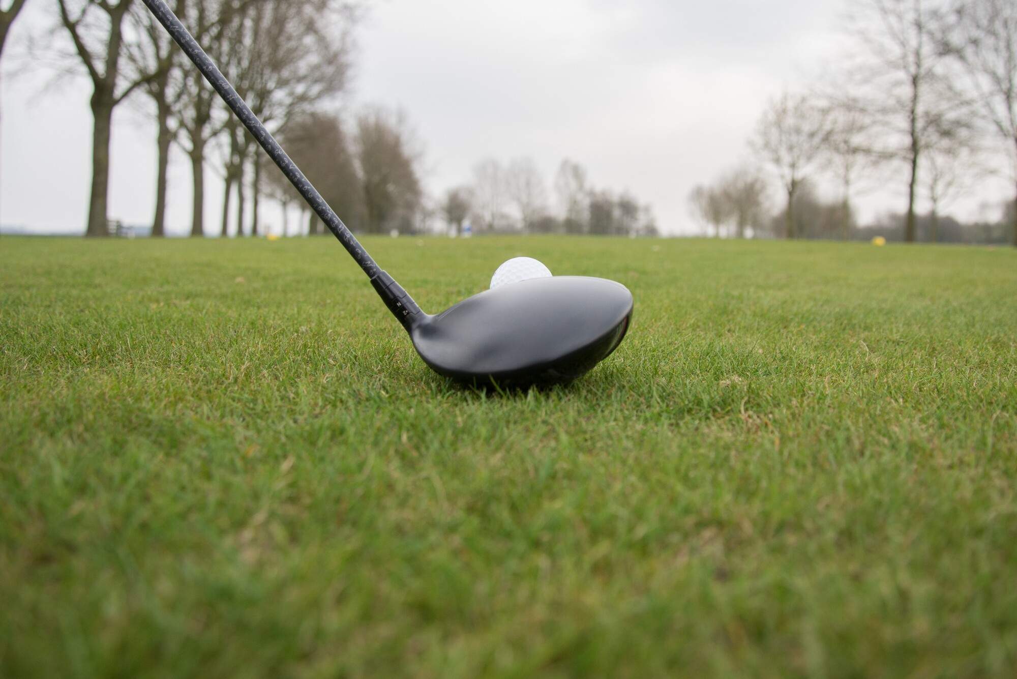 What Are the Great Health Benefits of Playing Golf?