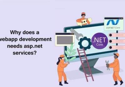 Why Does a Webapp Development Need ASP.NET Services?
