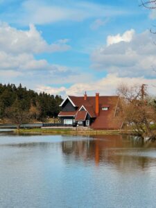 pexels-kaya-1176437-31417368